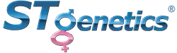 ST Genetics