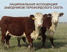 Национальная Ассоциация заводчиков герефордского скота
