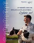 СПРАВОЧНЫЙ КАТАЛОГ БЫКОВ 04-26