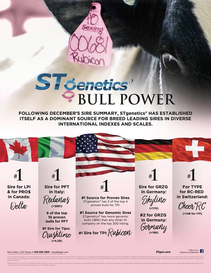 ST Genetics - мировой лидер по элитным быкам!